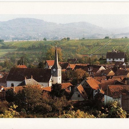 Wangen Les Hirondellesヴィラ エクステリア 写真