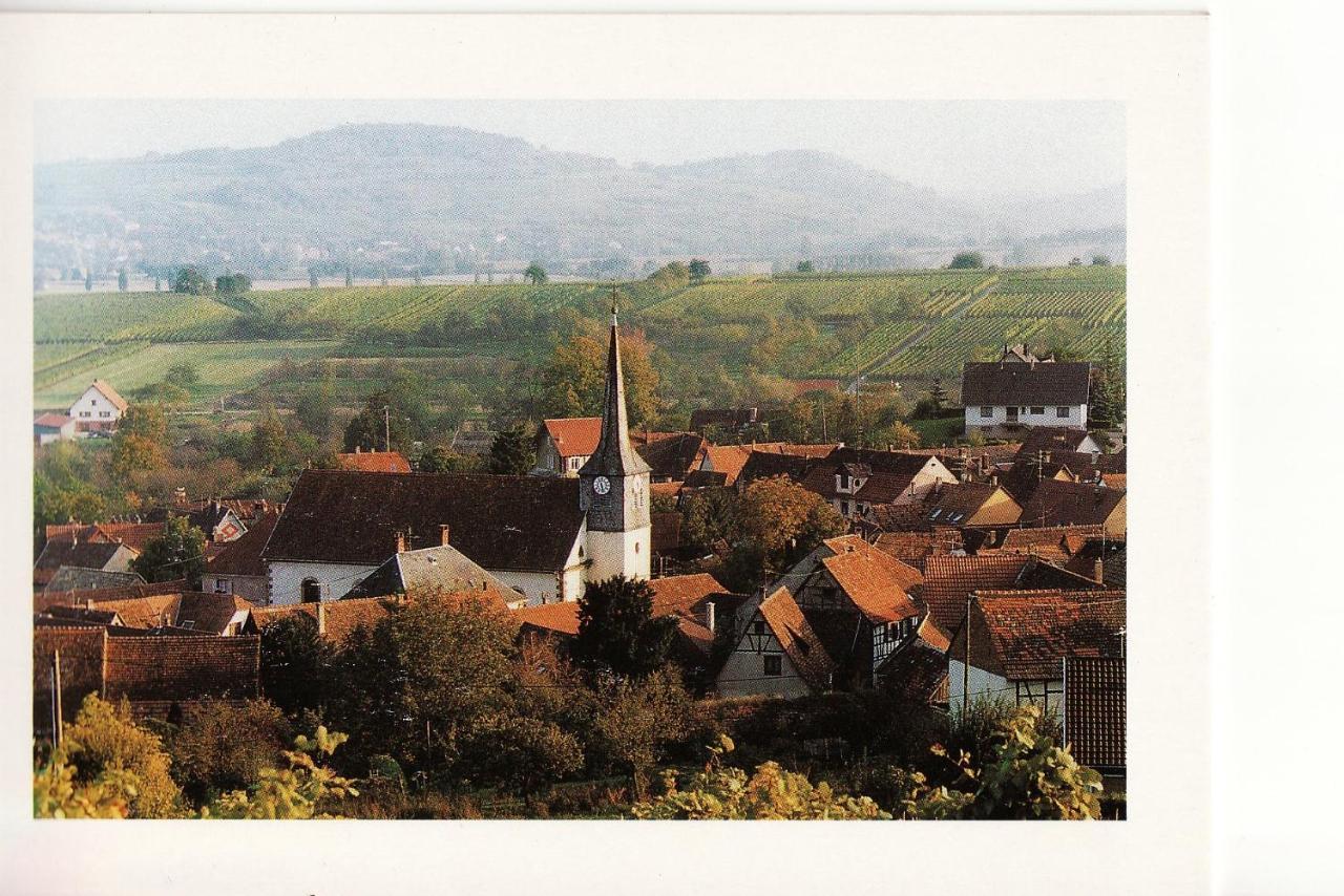 Wangen Les Hirondellesヴィラ エクステリア 写真